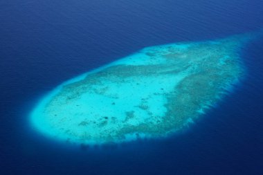 Maldivler bir deniz uçağı--dan güzel havadan görünümü 