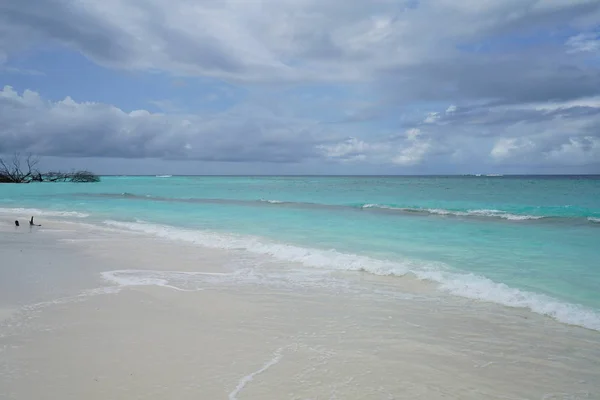 Θέα Από Την Παραλία Ένα Πανέμορφο Ακατοίκητο Νησί Στις Μαλδίβες — Φωτογραφία Αρχείου