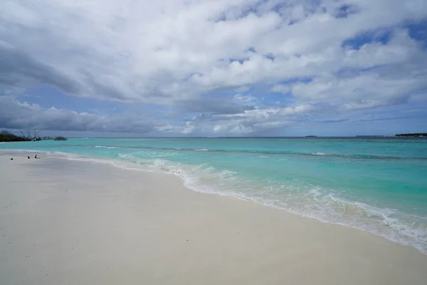 Vue Sur Plage Sur Une Belle Île Inhabitée Aux Maldives — Photo