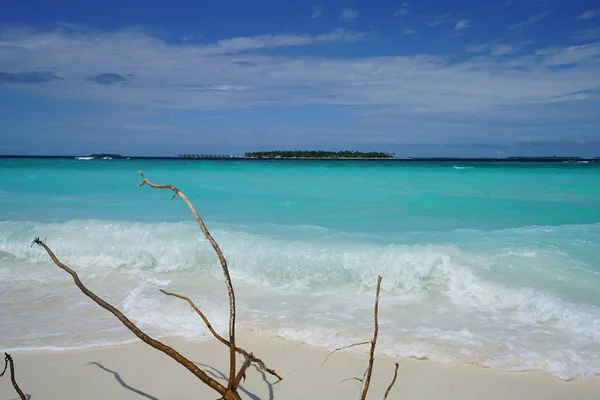 Vista Del Océano Desde Una Isla Con Palos Las Maldivas —  Fotos de Stock