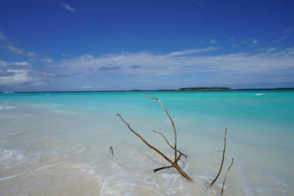 Vista Del Océano Desde Una Isla Con Palos Las Maldivas — Foto de Stock
