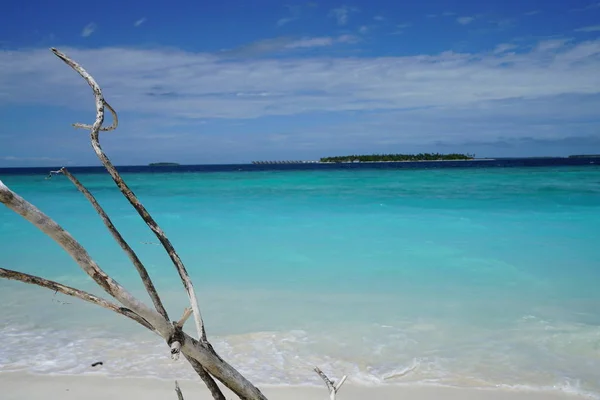 Vista Dell Oceano Isola Con Bastoni Nelle Maldive — Foto Stock