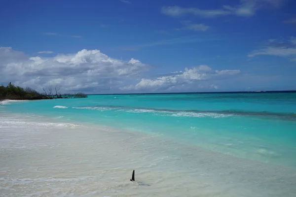 View Ocean Island Maldives — Stock Photo, Image