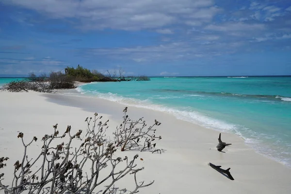 Utsikt Över Havet Från Maldiverna — Stockfoto