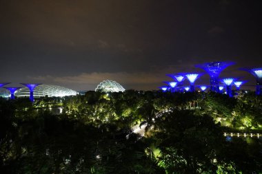 Singapur Botanik Bahçe geceleri aydınlatılan modern yapılar