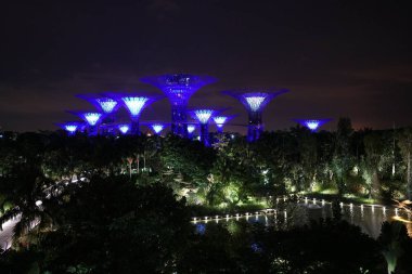 Singapur Botanik Bahçe geceleri aydınlatılan modern yapılar