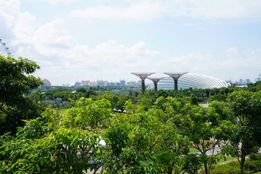 yemyeşil yeşil bitkiler ve modern yapılar içinde singapore Botanik Bahçesi