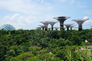 yemyeşil yeşil bitkiler ve modern yapılar içinde singapore Botanik Bahçesi