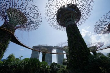 yemyeşil yeşil bitkiler ve modern yapılar içinde singapore Botanik Bahçesi
