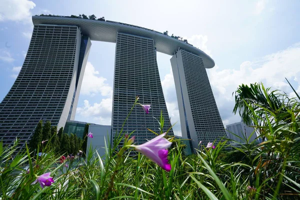 Edifícios Modernos Arranha Céus Com Vegetação Exuberante Flores Singapore — Fotografia de Stock