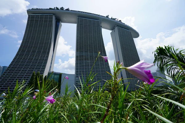 Edificios Modernos Rascacielos Con Exuberante Vegetación Flores Singapura —  Fotos de Stock