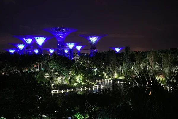 Moderne Constructies Singapore Botanische Tuin Nacht Verlicht — Stockfoto