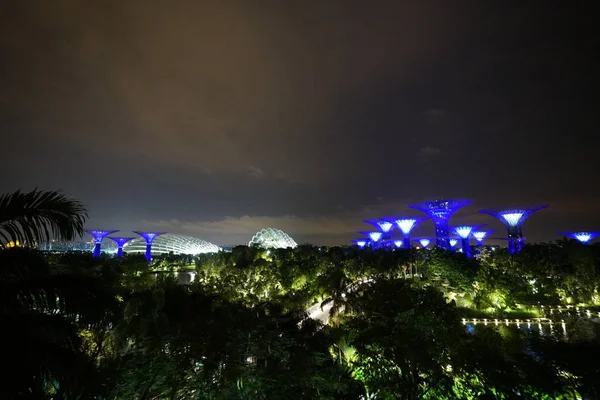 Современные Постройки Singapore Ботанический Сад Освещенный Ночью — стоковое фото