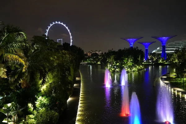 喷泉在新加坡植物园照明在夜间 — 图库照片