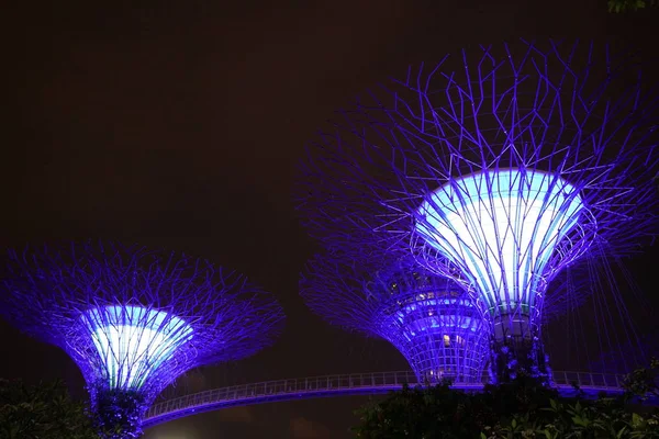 新加坡植物园的现代建筑在夜间灯火通明 — 图库照片