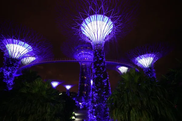 新加坡植物园的现代建筑在夜间灯火通明 — 图库照片