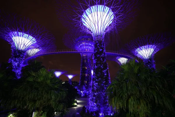 新加坡植物园的现代建筑在夜间灯火通明 — 图库照片