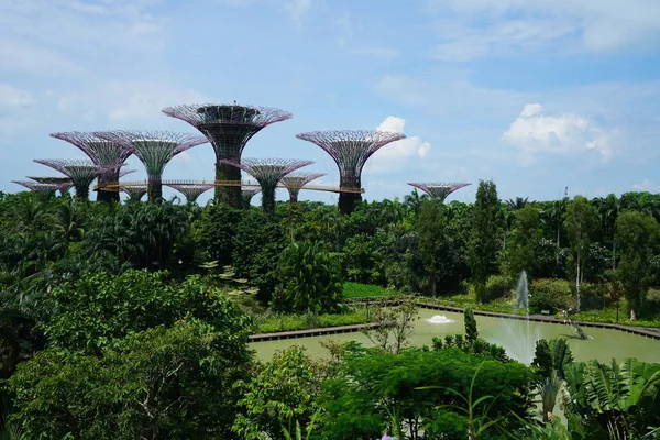yemyeşil yeşil bitkiler ve modern yapılar içinde singapore Botanik Bahçesi