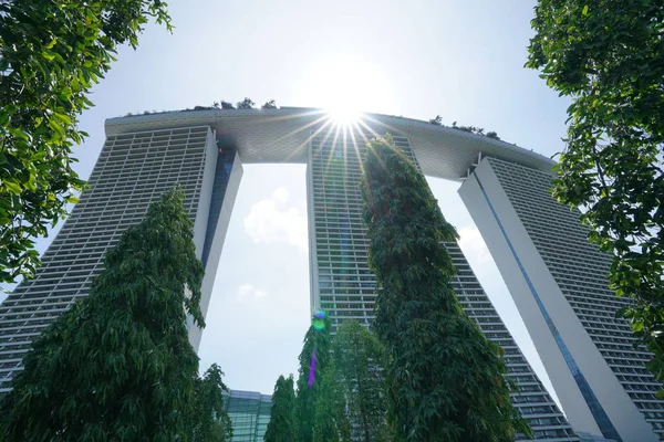 Lush Green Plants Modern Constructions Singapore Botanical Garden — Stock Photo, Image