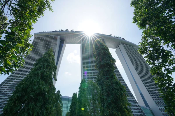 Exuberantes Plantas Verdes Construcciones Modernas Jardín Botánico Singapur — Foto de Stock