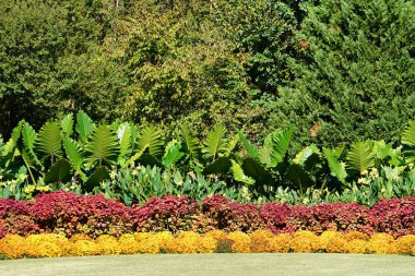Güneş ışıklı flowerbed turuncu, kırmızı ve Sarı çiçekli