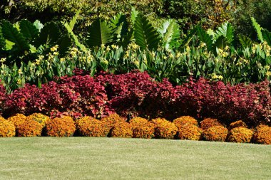 Güneş ışıklı flowerbed turuncu, kırmızı ve Sarı çiçekli