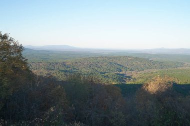 tepenin çalılar ile Rozenstraat dağlık uzak manzara