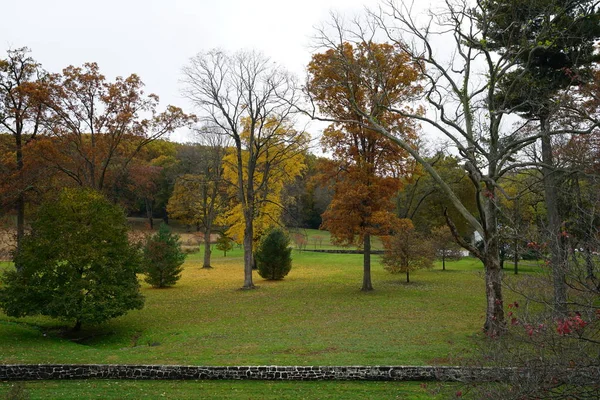 Outono Parque Cena Com Gramado Verde Árvores Folheadas Amarelas — Fotografia de Stock