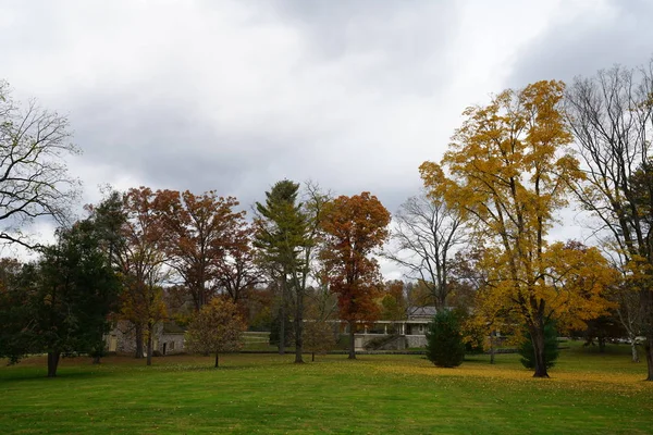 Сцена Осеннего Парка Зеленой Лужайкой Желтыми Лиственными Деревьями — стоковое фото