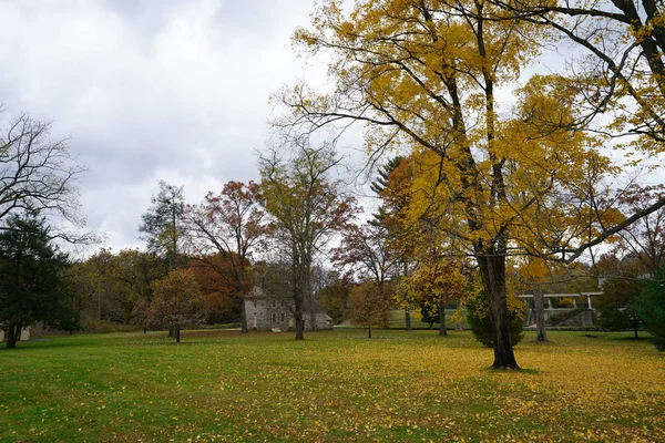 Herbstliche Parkszene Mit Grünem Rasen Und Gelb Belaubten Bäumen — Stockfoto