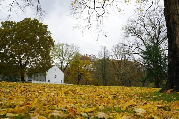 秋天公园的白色房子的看法 — 图库照片