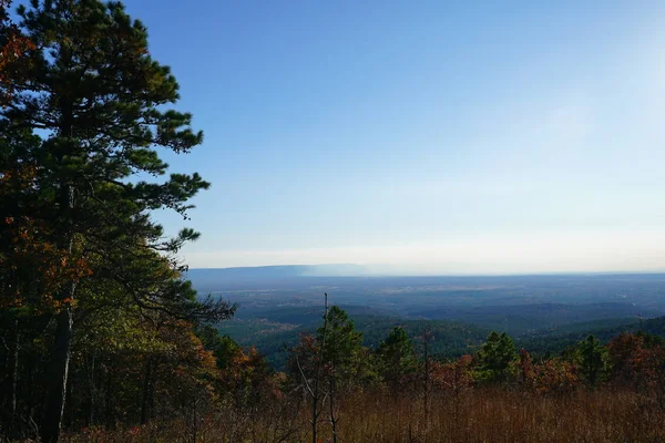 Schilderachtig Uitzicht Het Landschap Met Bomen Onder Blauwe Hemel — Stockfoto