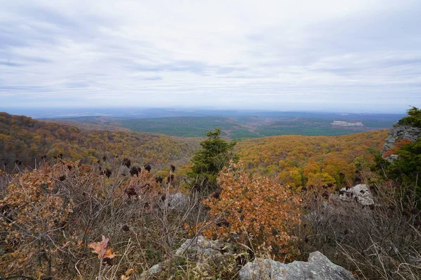 Paisaje Montañoso Bosques Foliados Amarillos — Foto de Stock