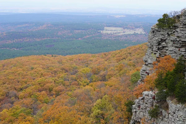 Bergige Landschaft Gelb Bewachsene Wälder — Stockfoto