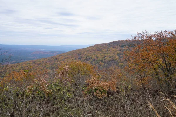 Mountainous Landscape Yellow Foliaged Woods — Stock Photo, Image