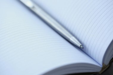 Gümüş kalem açılan Not Defteri sayfası üzerinde yalan