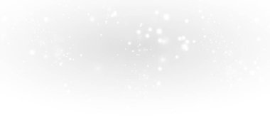 Gümüş-gri bokeh ışıkları olan yatay vektör arkaplan, şenlikli bir Noel ya da yeni yıl kutlaması için parlıyor ve dağılıyor. Posterler, afişler ve arkaplanlar için mükemmel kopya alanı içerir