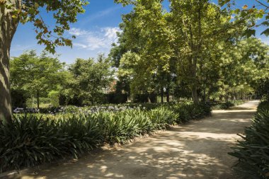 Jardines del Real, Jardin de Viveros - Valencia, İspanya'da halka açık park. Yaz tatili. Güneşli bir günde yakalandı.