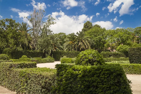 Jardines Del Real Jardin Viveros Громадський Парк Валенсії Іспанія Літнього — стокове фото