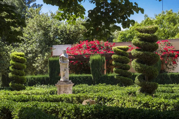 Jardines Del Real Jardin Viveros Общественный Парк Валенсии Испания Летние — стоковое фото