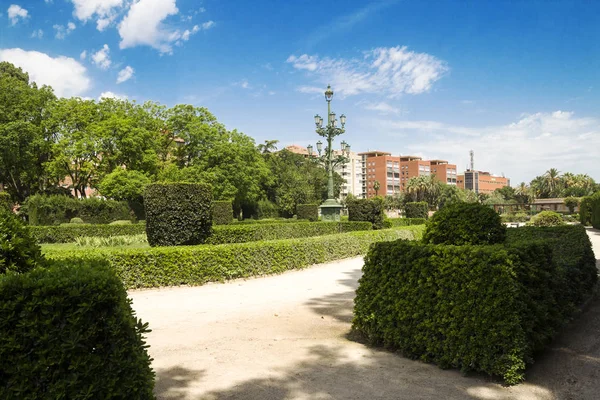 Jardines Del Real Jardin Viveros Park Publiczny Walencji Hiszpania Urlop — Zdjęcie stockowe