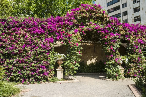 Валенсія Іспанія 2019 Монфорте Сад Jardines Монфорте Неокласичний Дизайн Повний — стокове фото