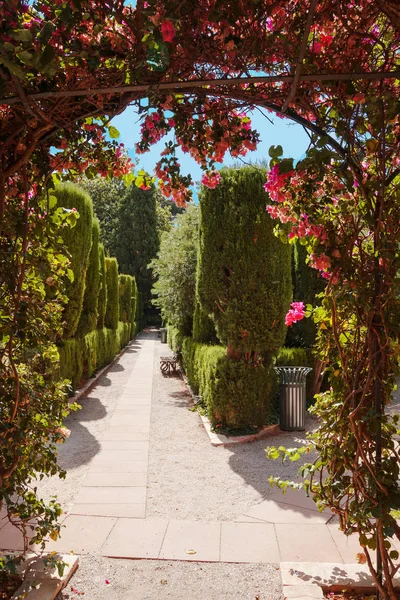 Valencia Espagne 2019 Jardin Monforte Jardines Monforte Design Néoclassique Plein — Photo