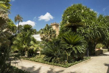 Valencia, İspanya-07.07.2019: Jardin Botanico de la Universidad de Valencia, Valencia Üniversitesi Botanik Bahçesi 1567 yılında tıbbi bitkilerin incelenmesi için kurulmuştur. Sadece Editoryal için