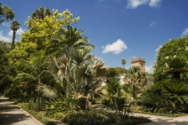 Валенсія Іспанія 2019 Jardin Ботаніко Універсідад Валенсія Ботанічний Сад Університету — стокове фото