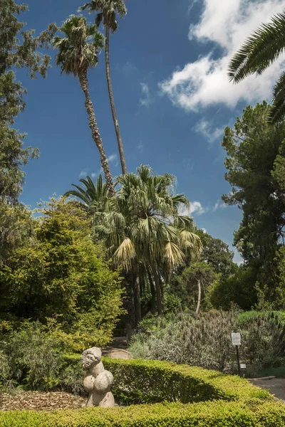 Valencia Spanyolország 2019 Jardin Botanico Universidad Valencia Valenciai Egyetem Botanikus — Stock Fotó