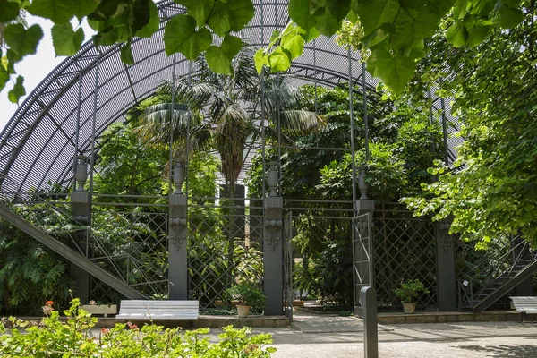 Valencia Spanyolország 2019 Jardin Botanico Universidad Valencia Valenciai Egyetem Botanikus — Stock Fotó