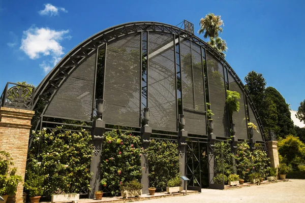 Valencia Spanyolország 2019 Jardin Botanico Universidad Valencia Valenciai Egyetem Botanikus — Stock Fotó