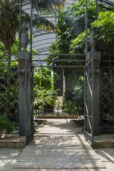 Valencia Spanyolország 2019 Jardin Botanico Universidad Valencia Valenciai Egyetem Botanikus — Stock Fotó