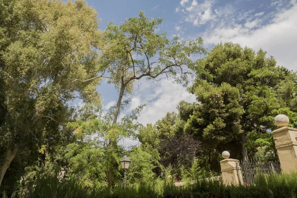 Valencia Spain 2019 Ayora Garden Jardin Ayora Private Garden 19Th — Stock Photo, Image